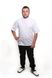 розмірна сітка Кітель кухаря Дублін білий сітка на спині розмір 44 1915833102 фото 5
