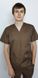 фото медичний костюм Герус ВТ-30032 котон коричневий (р.42-66) рукав короткий, брюки прямі 13548427397